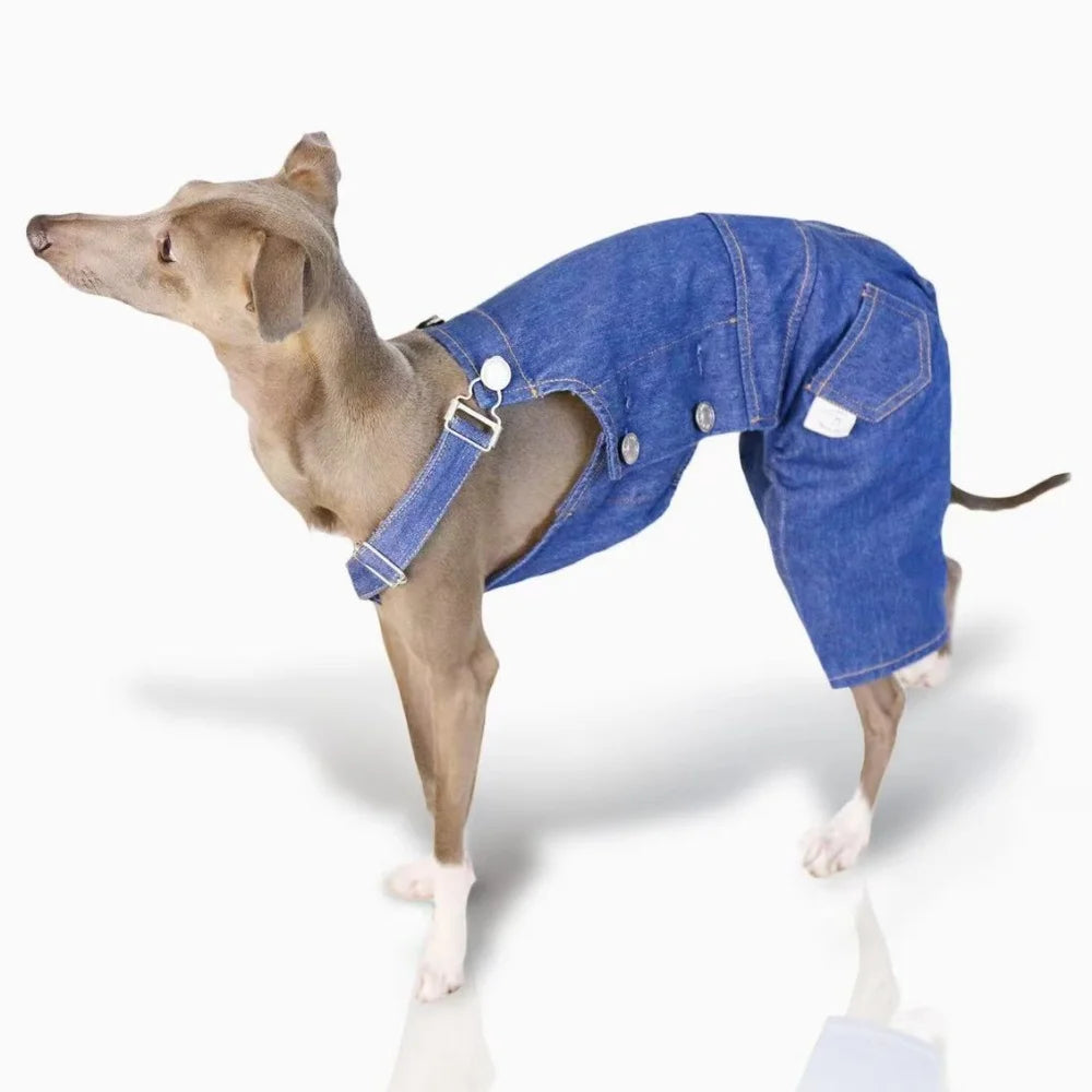 Adjustable Denim Dog Jumpsuit – 4-Leg Pants Outfit for Greyhounds & Whippets