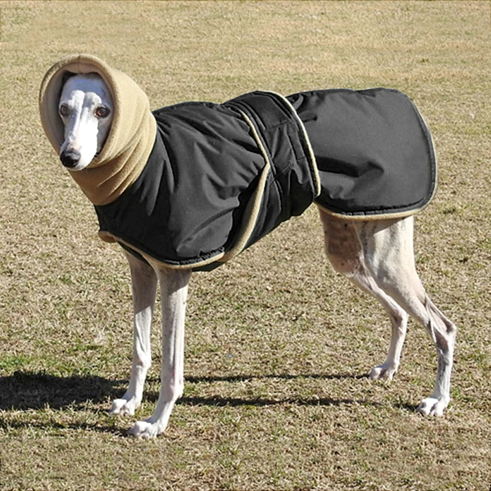 Waterproof Greyhound Winter Coat – Super Warm Thick Jacket for Medium & Large Dogs.