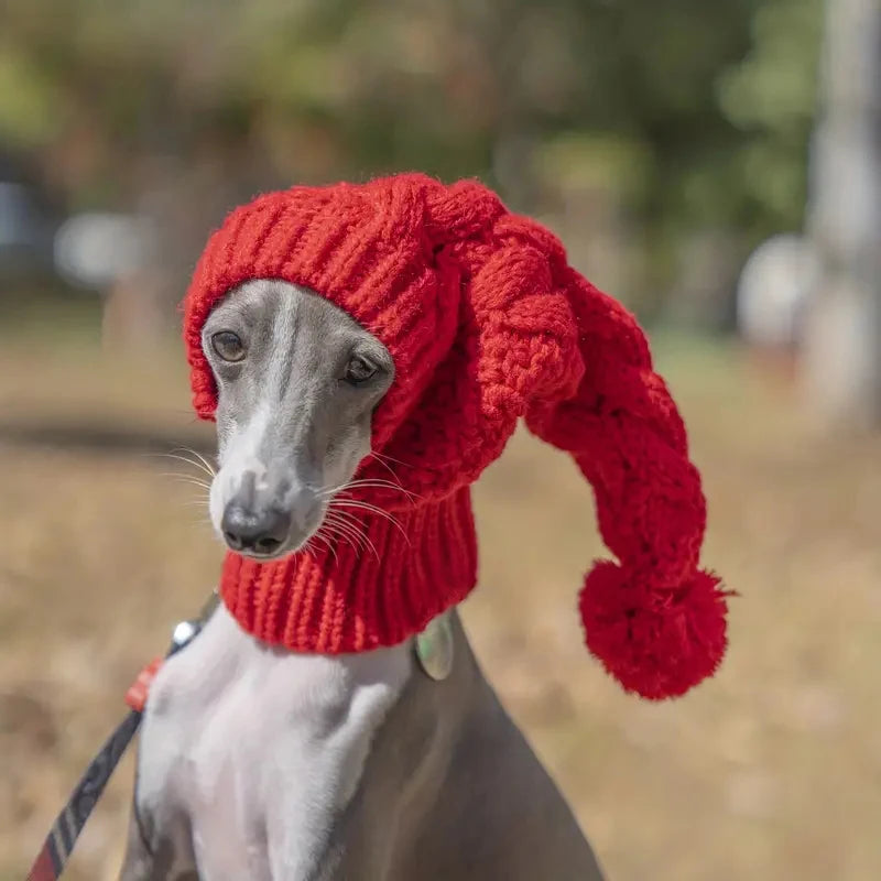 Hand-Knit Wool Snood Beanie for Greyhounds & Whippets