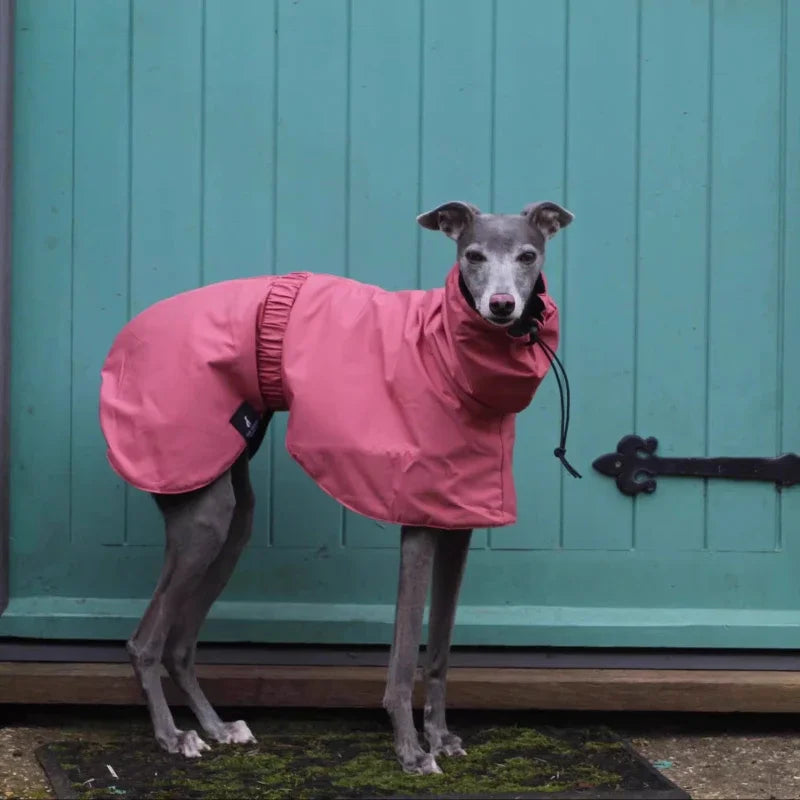Luxury Waterproof Raincoat – Large Size Jacket for Greyhounds & Whippets