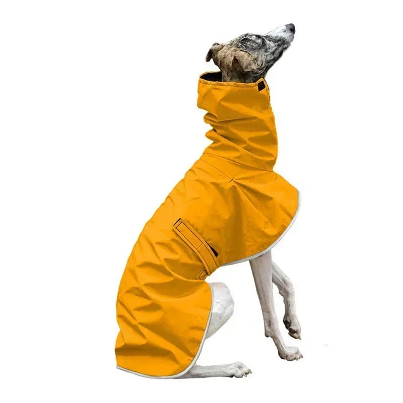 Italian Greyhound Winter Coat – Waterproof, Adjustable Dog Jacket with Warm Fleece for Whippets & Greyhounds