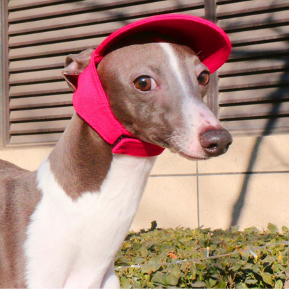Breathable Baseball Cap for Greyhounds - Lightweight Summer Hat for Sighthounds