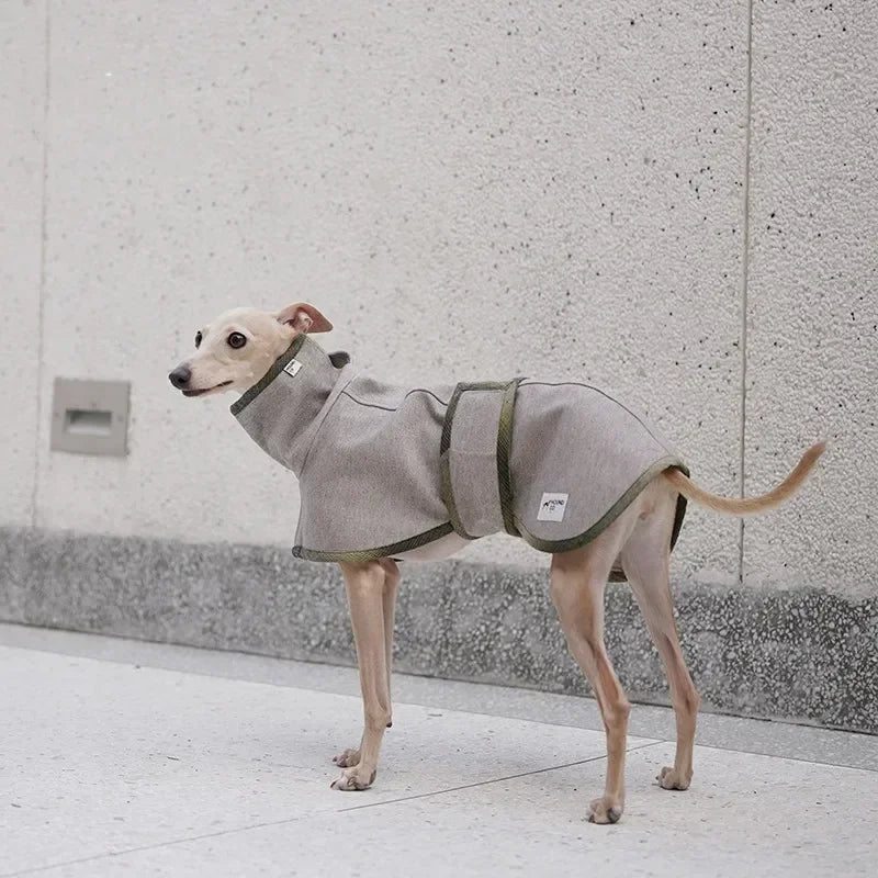 Designer Luxury Dog Clothes Woolen Windbreaker Whipbit Italian Greyhound Clothes Dogs Accessories Ropa Para Perros