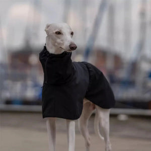 Black High-Neck Winter Jacket for Italian Greyhounds & Whippets