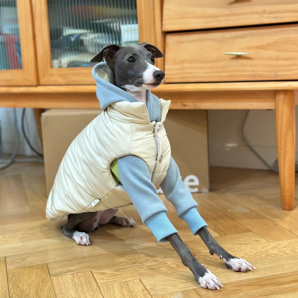 Winter Cotton Jacket for Italian Greyhounds & Whippets