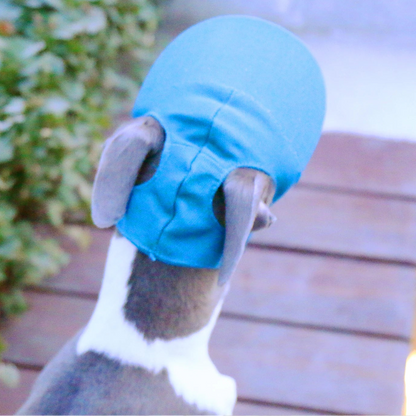 Breathable Baseball Cap for Greyhounds - Lightweight Summer Hat for Sighthounds