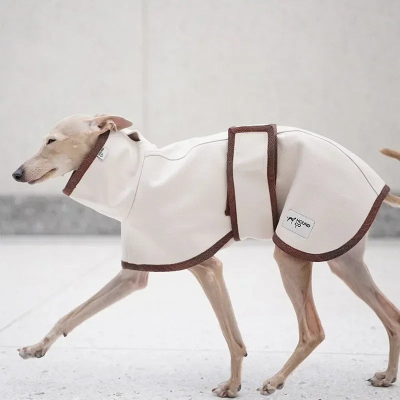 Designer Luxury Dog Clothes Woolen Windbreaker Whipbit Italian Greyhound Clothes Dogs Accessories Ropa Para Perros