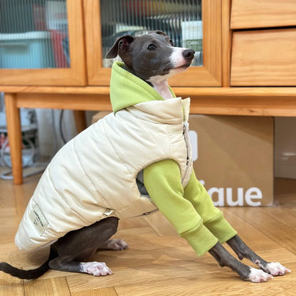 Winter Cotton Jacket for Italian Greyhounds & Whippets