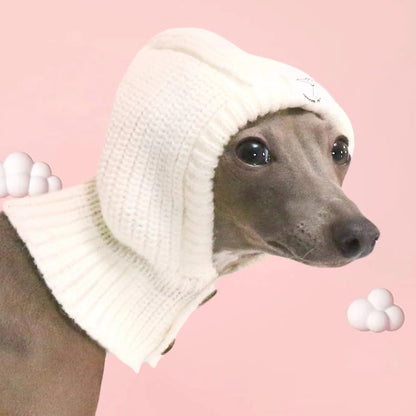 Knitted Wool Hood & Neck Warmer for Italian Greyhounds