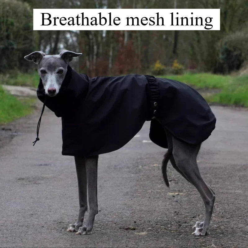 Luxury Waterproof Raincoat – Large Size Jacket for Greyhounds & Whippets