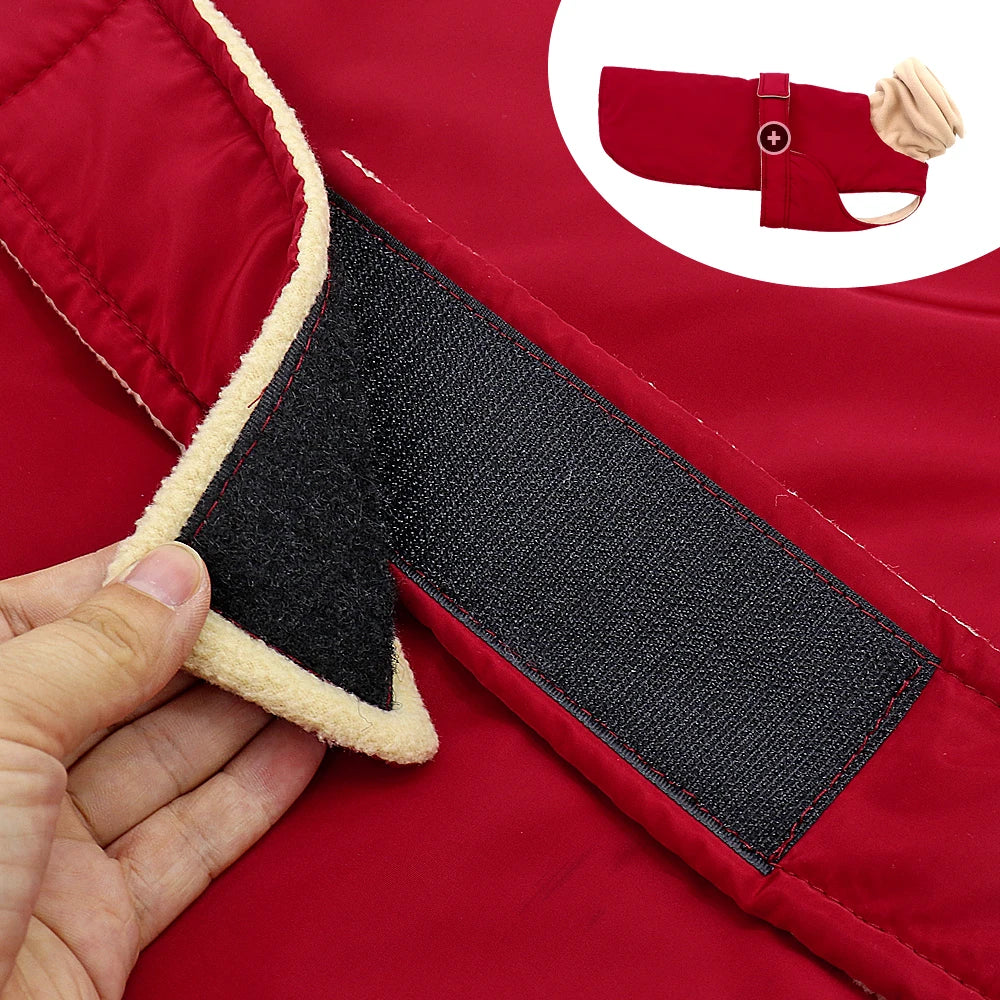 Waterproof Greyhound Winter Coat – Super Warm Thick Jacket for Medium & Large Dogs.