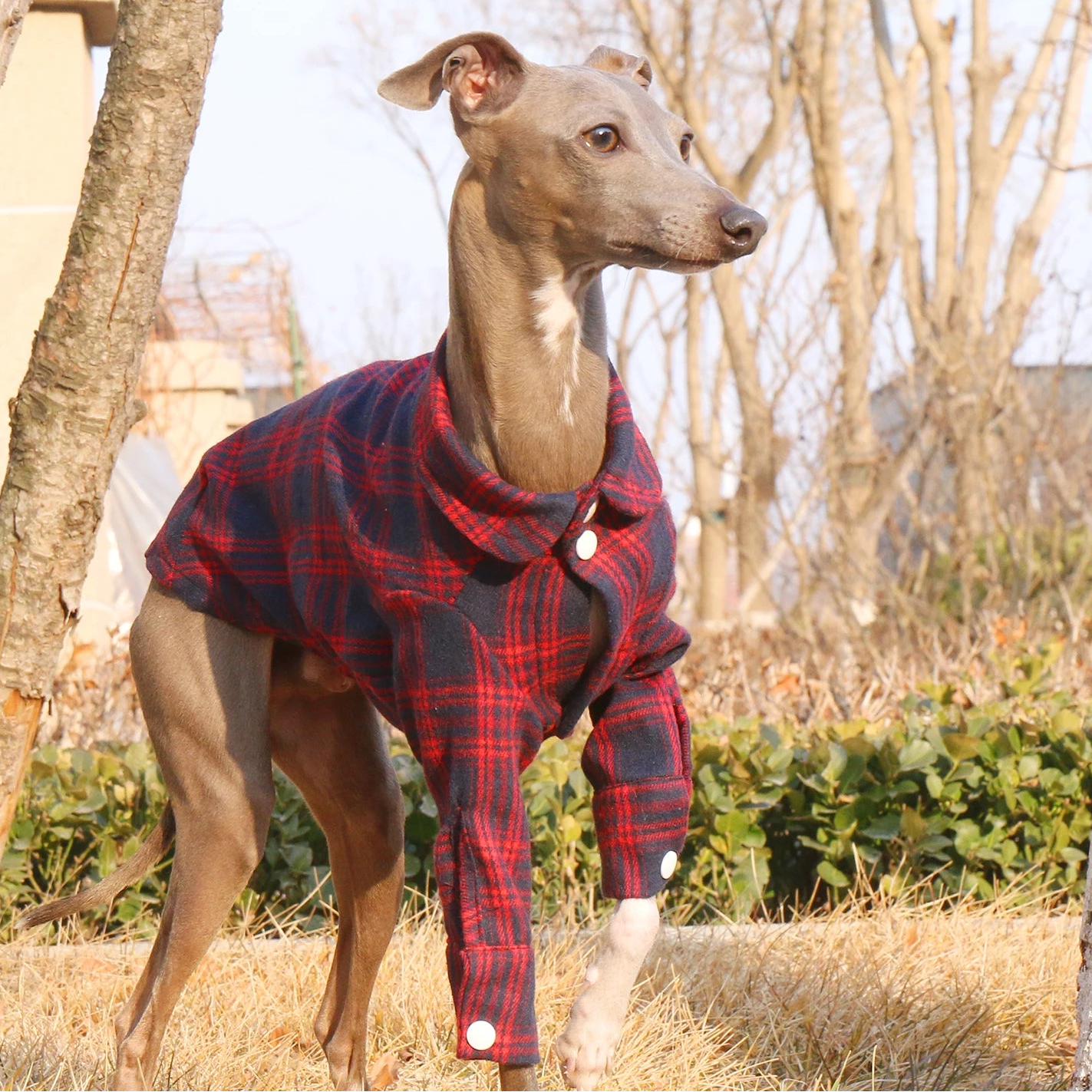Plaid Cotton Shirt Jacket