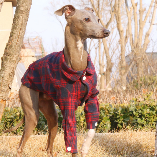 Plaid Cotton Shirt Jacket