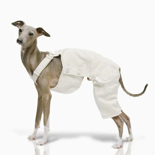 Adjustable Denim Dog Jumpsuit – 4-Leg Pants Outfit for Greyhounds & Whippets