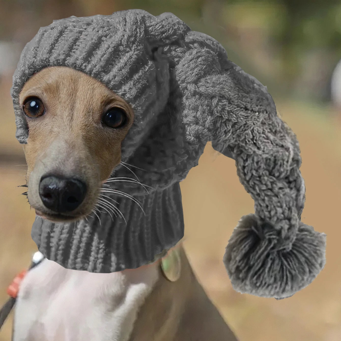 Hand-Knit Wool Snood Beanie for Greyhounds & Whippets