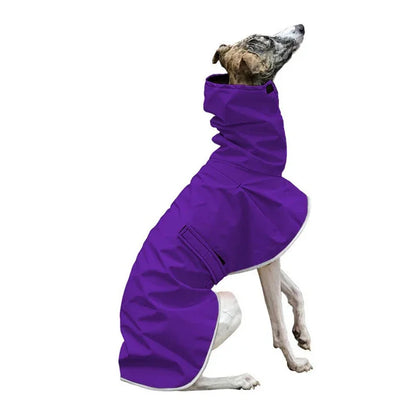 Italian Greyhound Winter Coat – Waterproof, Adjustable Dog Jacket with Warm Fleece for Whippets & Greyhounds