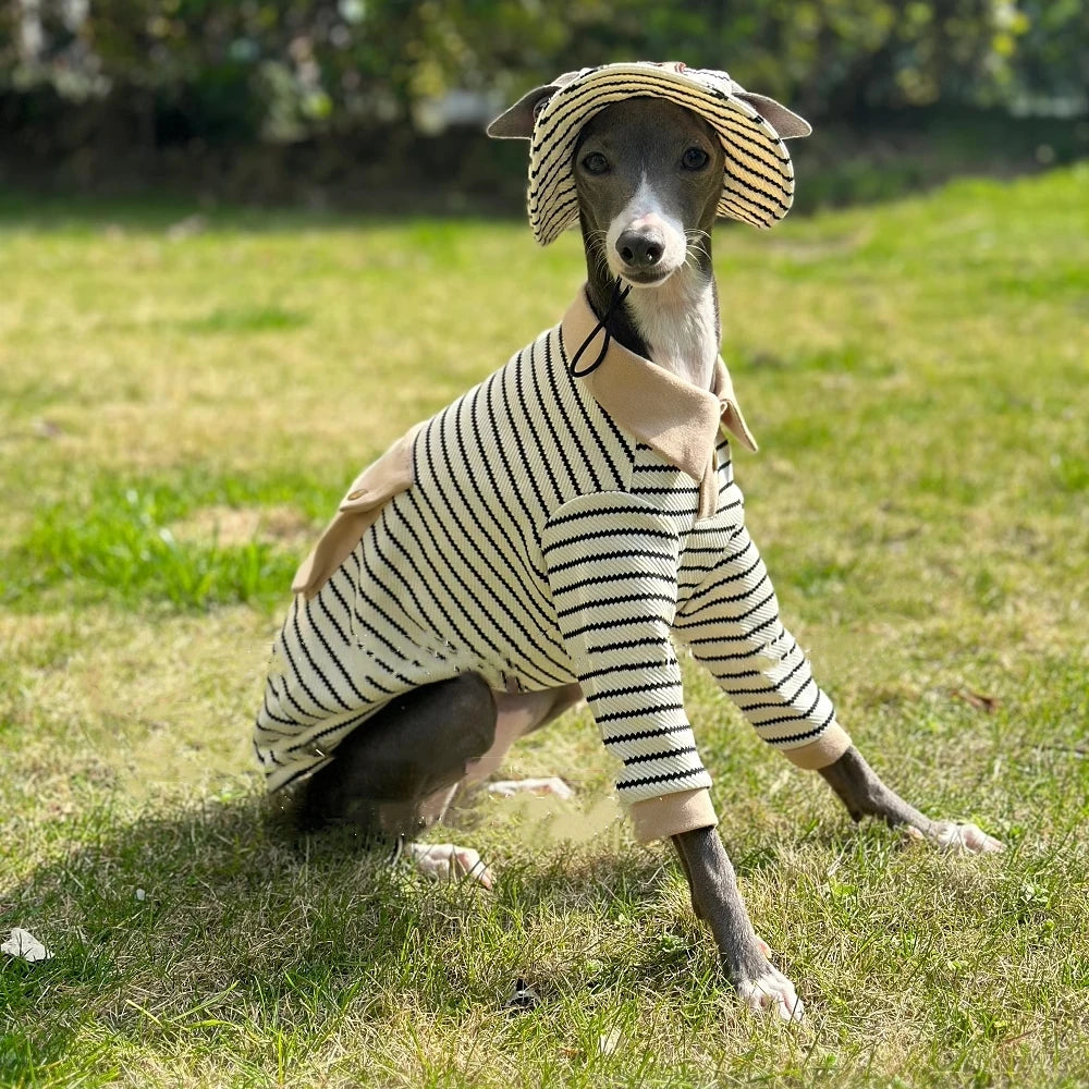 Striped Cotton Polo Shirt Set