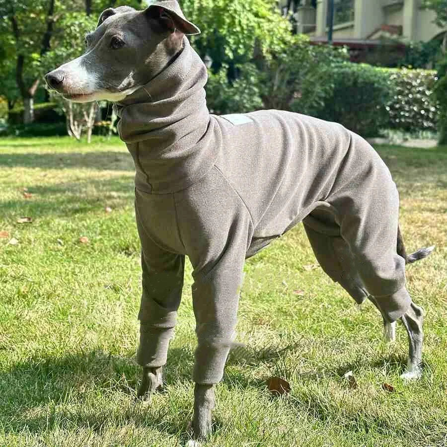 Four-Leg Velvet Sweatshirt for Italian Greyhounds & Whippets