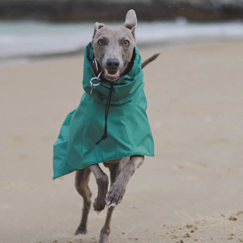 Luxury Waterproof Raincoat – Large Size Jacket for Greyhounds & Whippets