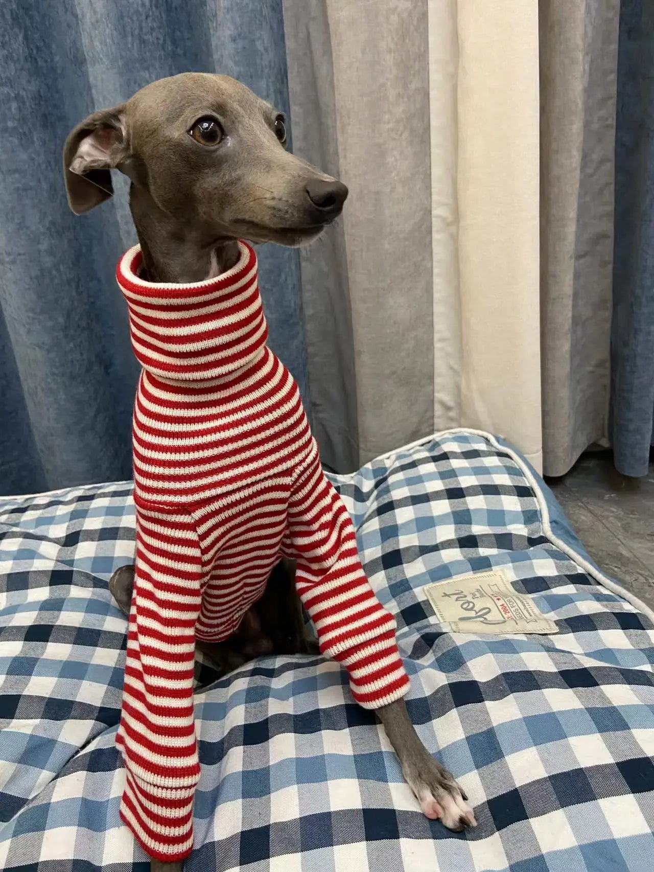 Red Striped Turtleneck Sweater for Italian Greyhounds & Whippets