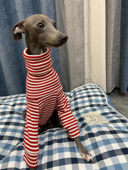 Red Striped Turtleneck Sweater for Italian Greyhounds & Whippets