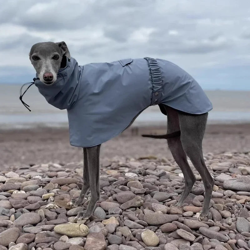 Luxury Waterproof Raincoat – Large Size Jacket for Greyhounds & Whippets