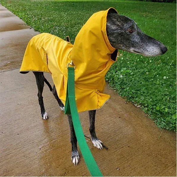 Italian Greyhound Winter Coat – Waterproof, Adjustable Dog Jacket with Warm Fleece for Whippets & Greyhounds