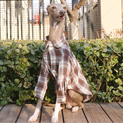 Plaid Cotton Shirt Jacket