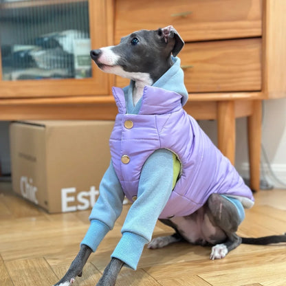 Winter Cotton Jacket for Italian Greyhounds & Whippets