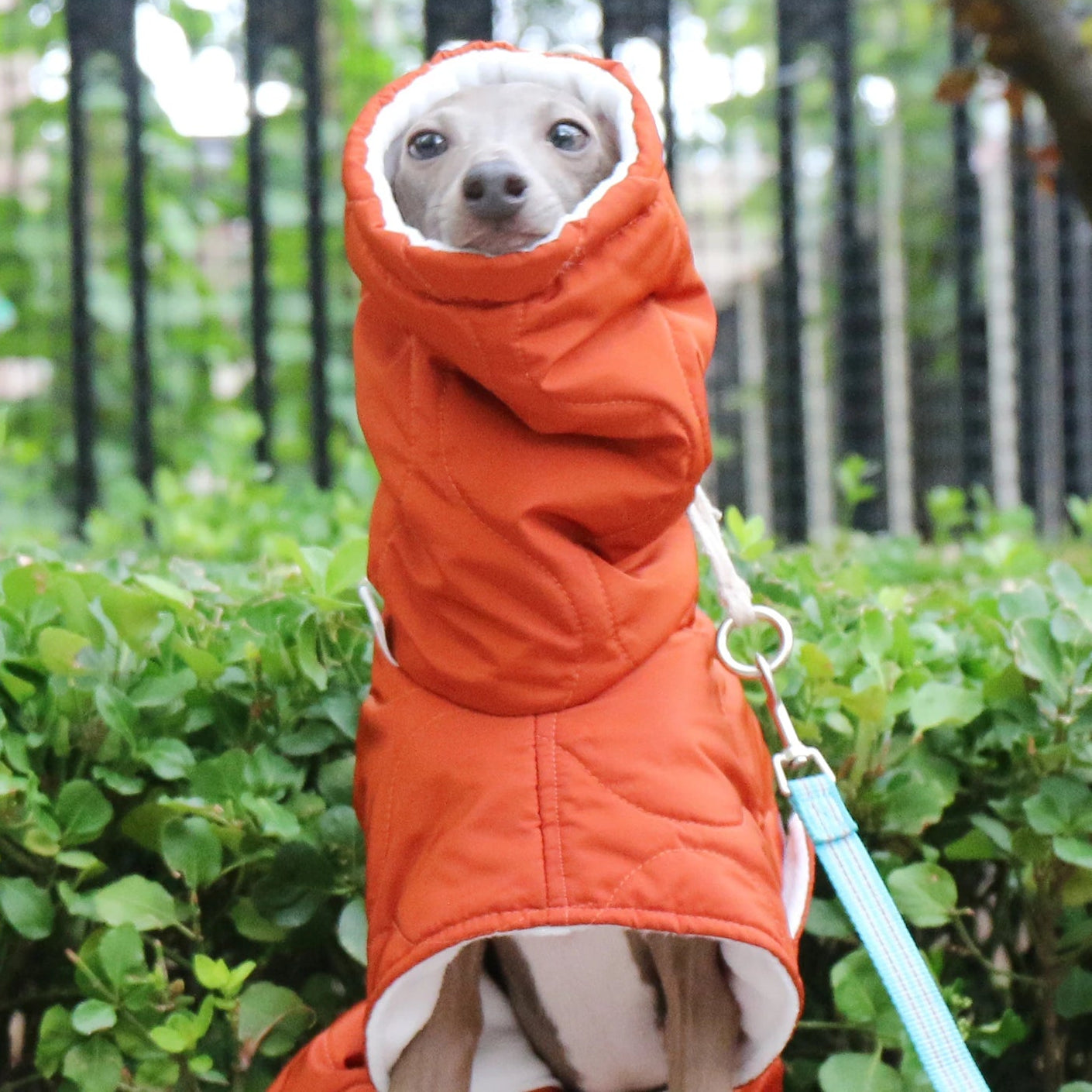 Winter Coat – Orange Quilted Warm Jacket with Turtleneck Collar, Adjustable Cotton Fit