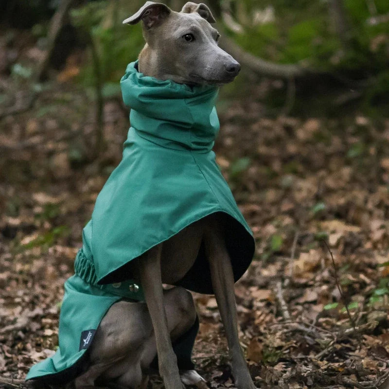 Luxury Waterproof Raincoat – Large Size Jacket for Greyhounds & Whippets