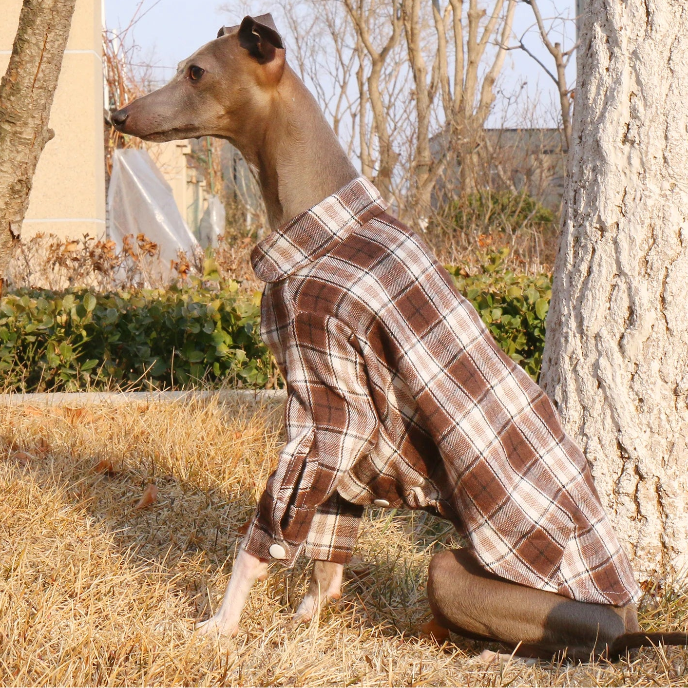 Plaid Cotton Shirt Jacket