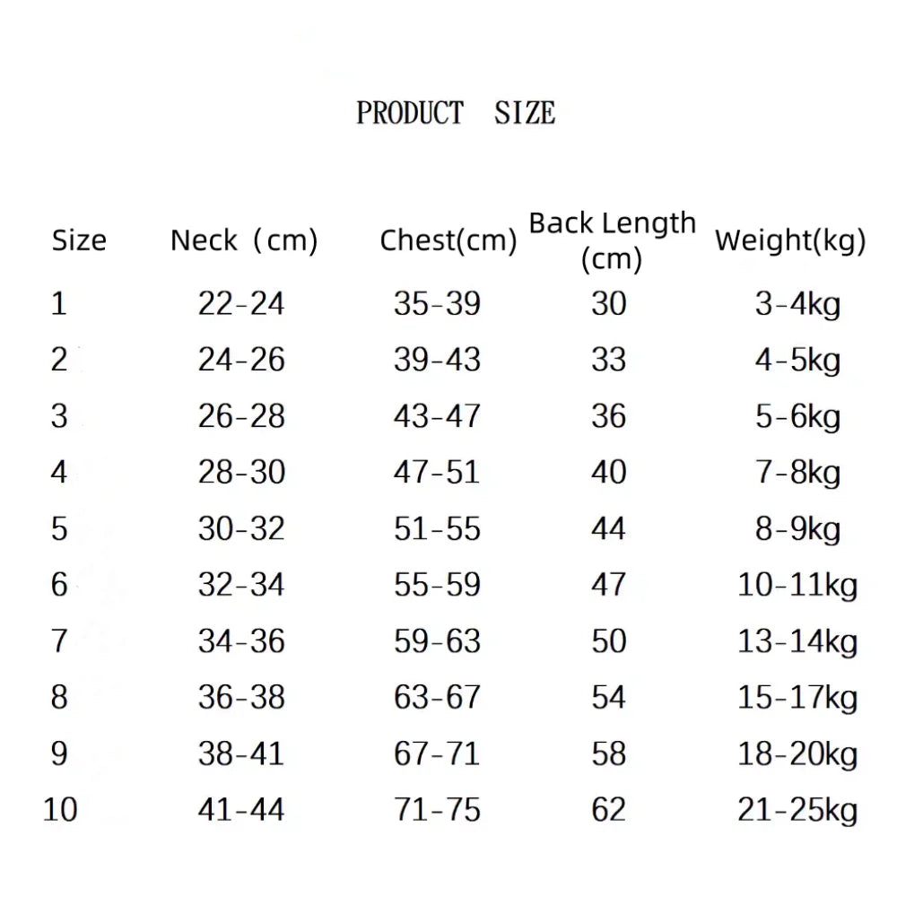 Striped Cotton Polo Shirt Set