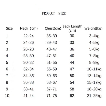 Striped Cotton Polo Shirt Set