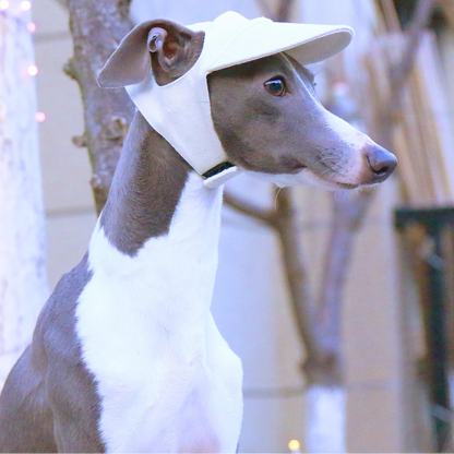 Breathable Baseball Cap for Greyhounds - Lightweight Summer Hat for Sighthounds