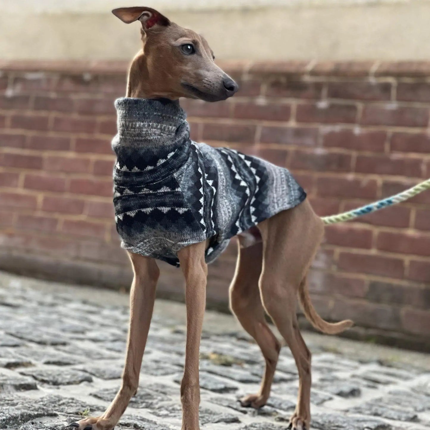 Winter Fleece Turtleneck Vest for Whippets & Italian Greyhounds