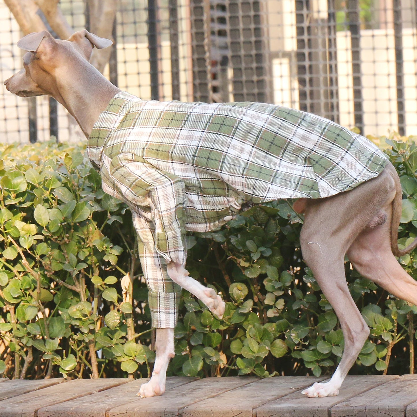 Plaid Cotton Shirt Jacket