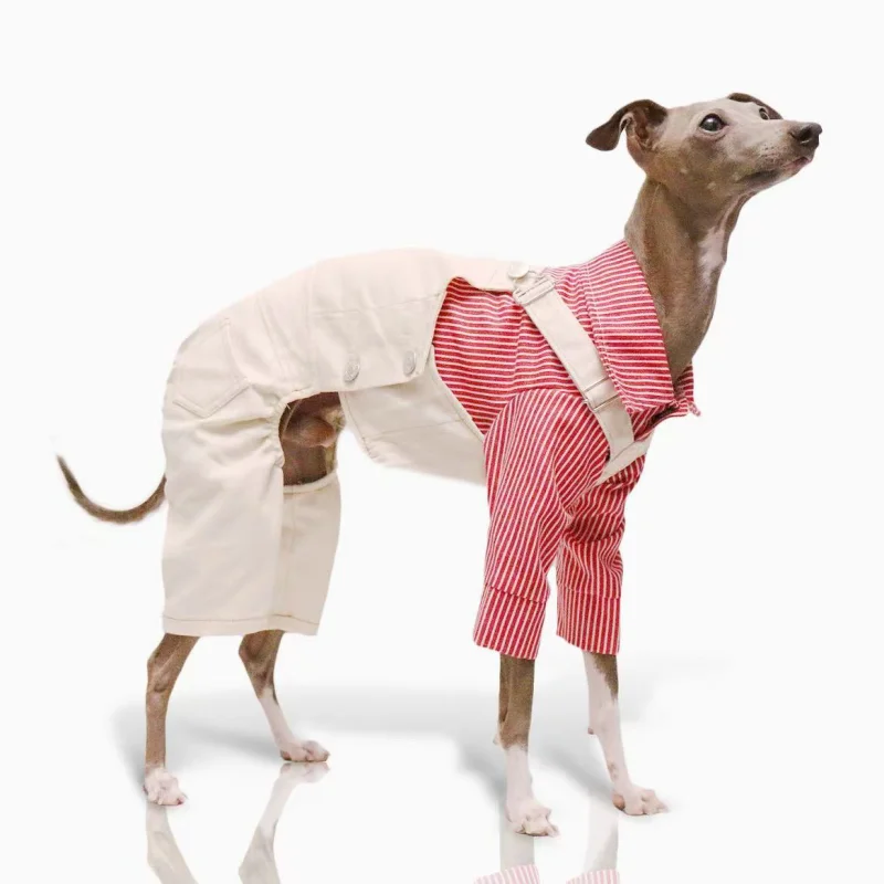 Adjustable Denim Dog Jumpsuit – 4-Leg Pants Outfit for Greyhounds & Whippets