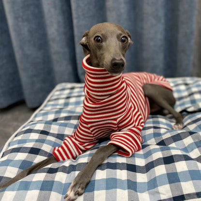 Red Striped Turtleneck Sweater for Italian Greyhounds & Whippets