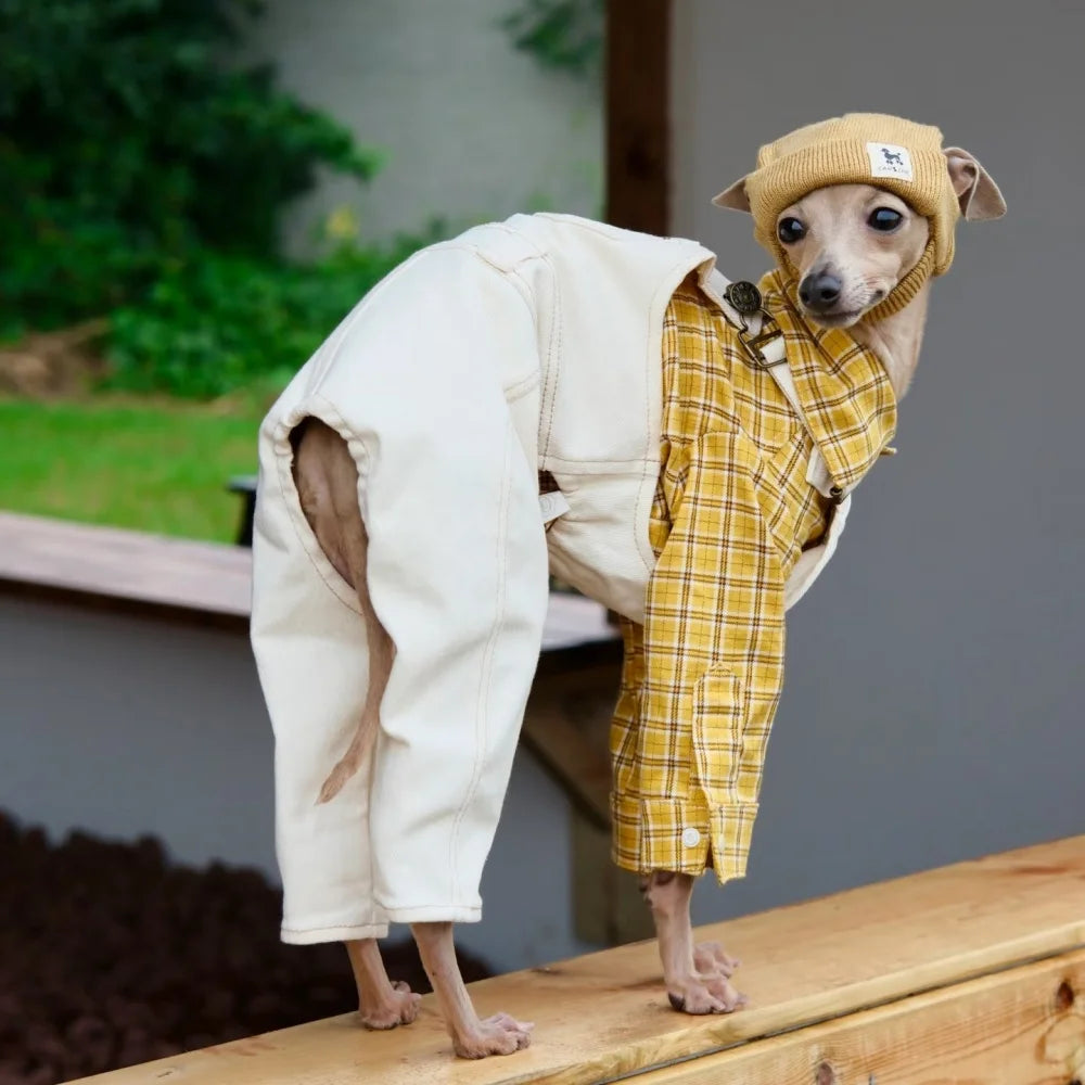 Adjustable Denim Dog Jumpsuit – 4-Leg Pants Outfit for Greyhounds & Whippets