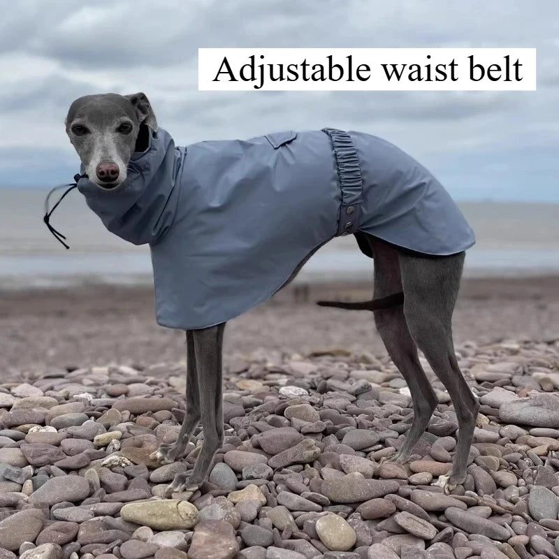 Luxury Waterproof Raincoat – Large Size Jacket for Greyhounds & Whippets