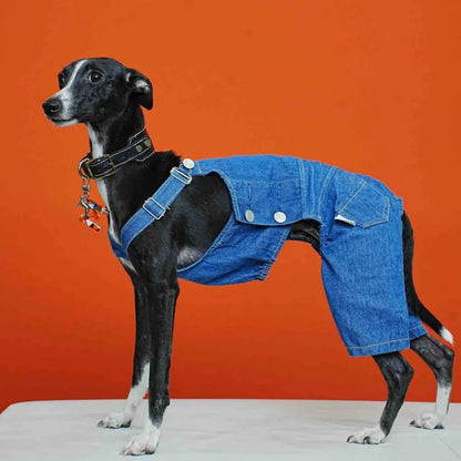 Adjustable Denim Dog Jumpsuit – 4-Leg Pants Outfit for Greyhounds & Whippets