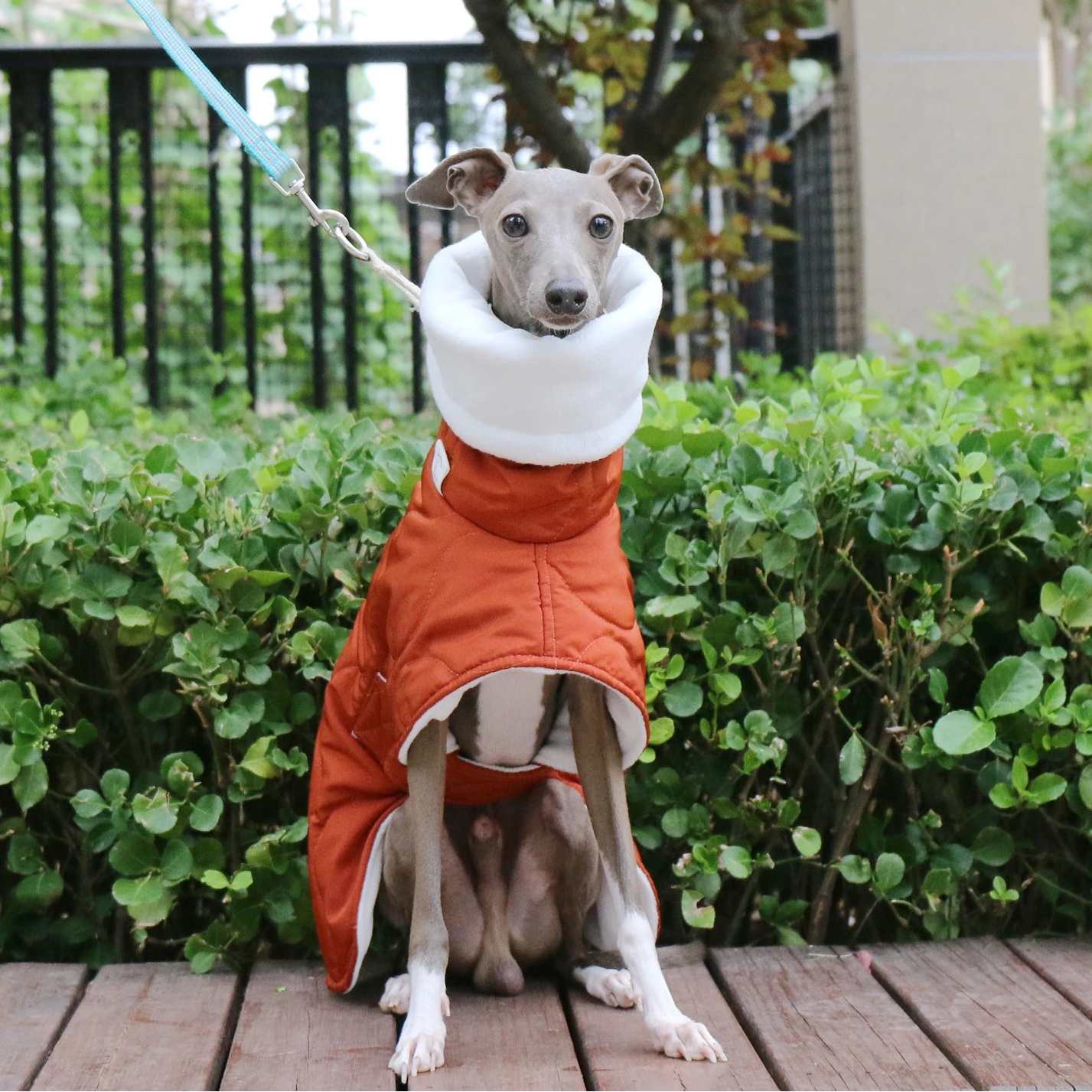 Winter Coat – Orange Quilted Warm Jacket with Turtleneck Collar, Adjustable Cotton Fit