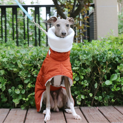 Winter Coat – Orange Quilted Warm Jacket with Turtleneck Collar, Adjustable Cotton Fit