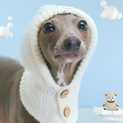 Knitted Wool Hood & Neck Warmer for Italian Greyhounds