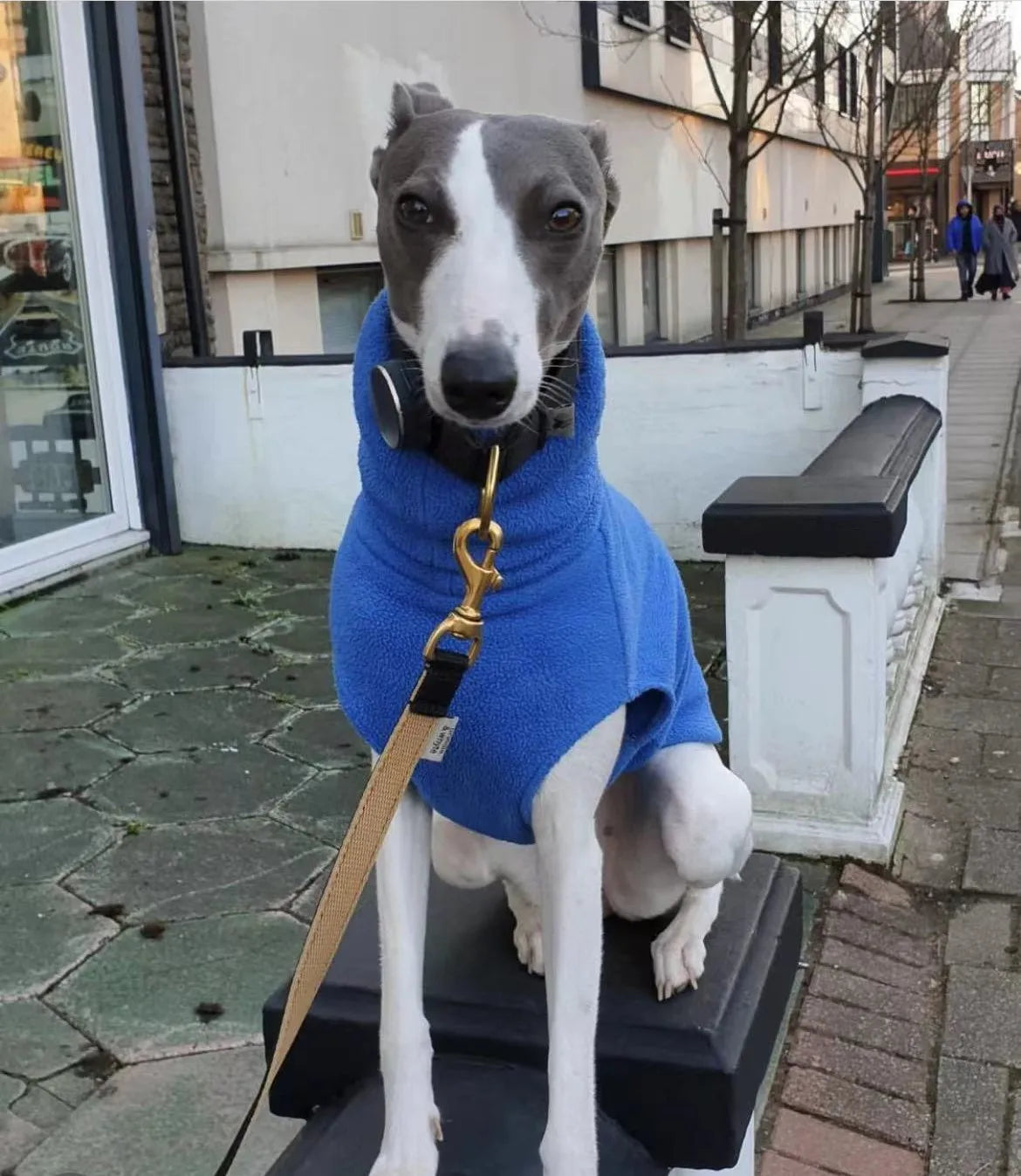 Fleece Turtleneck Vest for Greyhounds & Whippets