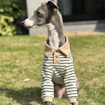 Striped Cotton Polo Shirt Set