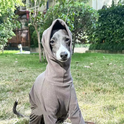 Four-Leg Velvet Sweatshirt for Italian Greyhounds & Whippets