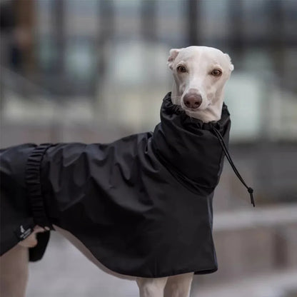 Black High-Neck Winter Jacket for Italian Greyhounds & Whippets