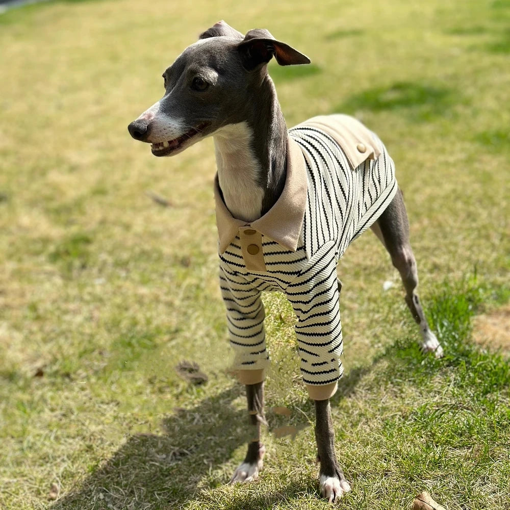 Striped Cotton Polo Shirt Set